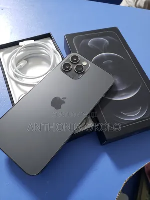 New Apple iPhone 12 Pro Max 256 GB Gray
