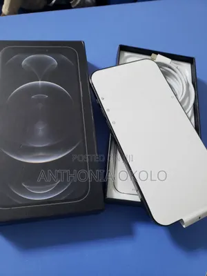 New Apple iPhone 12 Pro Max 256 GB Gray