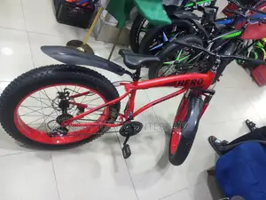 Hero Bicycle