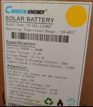 100ah Cworth Luthiun Ion Battery