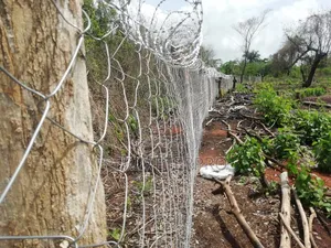 Professional Chain Link Fencing