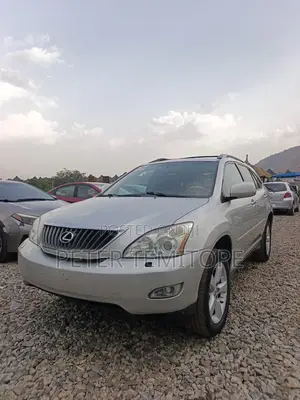Lexus RX 350 2008 Silver
