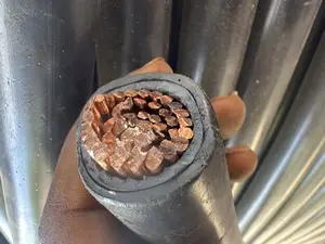 300mm Single PVC PVC Armored Cable and Wires