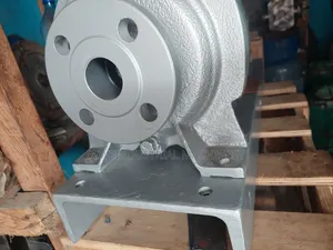 Hot Oil Transfer Pump