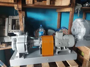 Hot Oil Transfer Pump