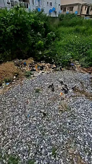 (Half Plot) for Sale, Off Mukandasi, Alidada B/Stop, Ago Palace, Okota
