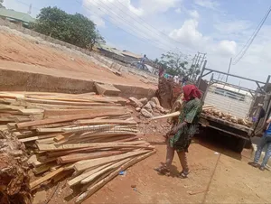 2by3, 2by4 Any Type of Wood