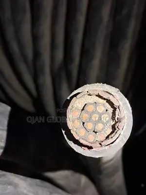 2.5mm 19core Armoured Cable