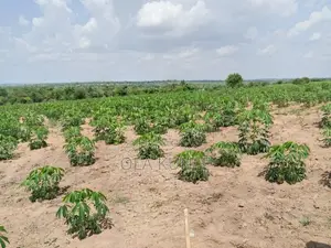 Up to 20 Plots of Land for Sale - #4,000,000/Plot of 500 Square Meter