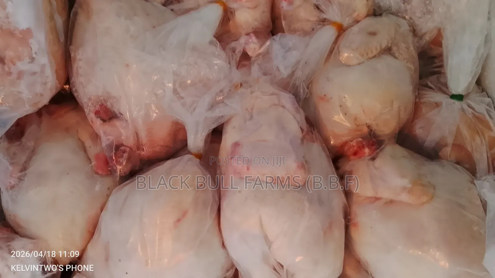 Fresh Chicken