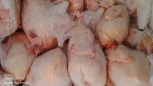 Fresh Chicken