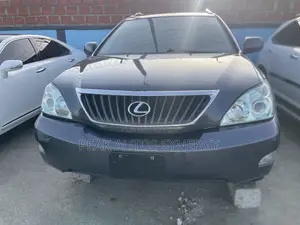 Lexus RX 350 AWD 2008 Gray