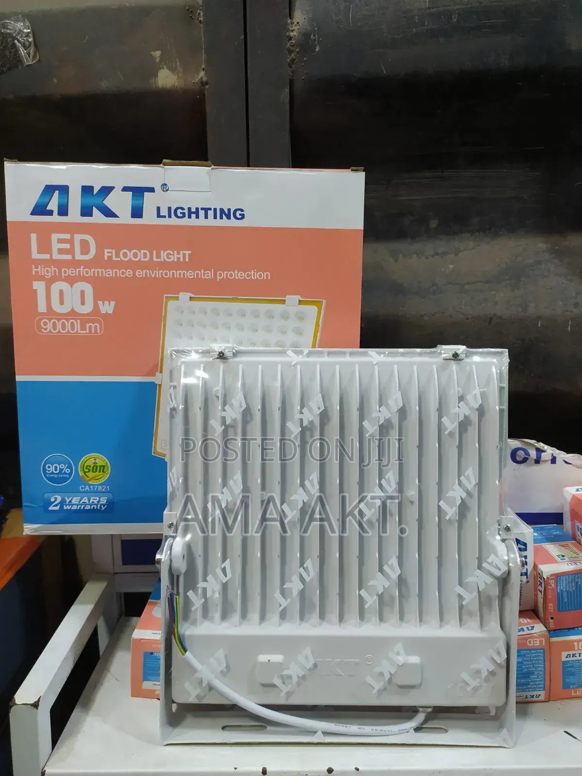 Akt 100w Flood Light