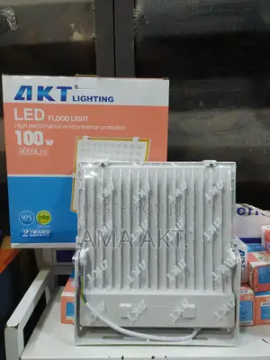 Akt 100w Flood Light