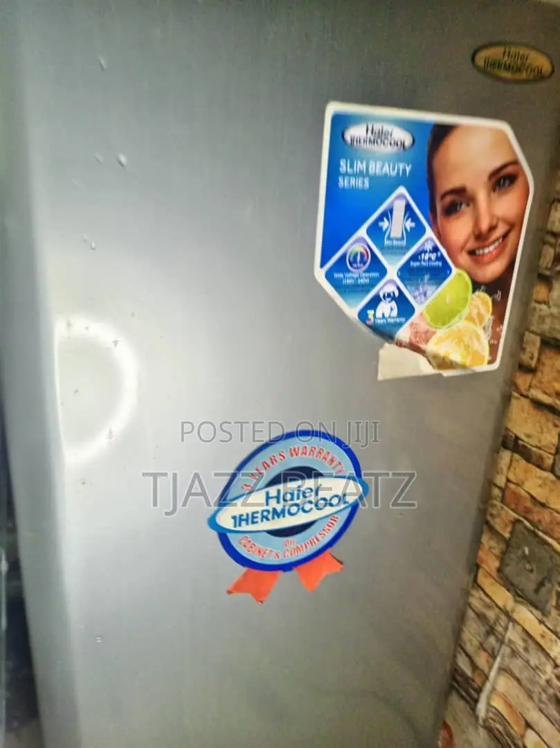 Haier Thermocool Freezer