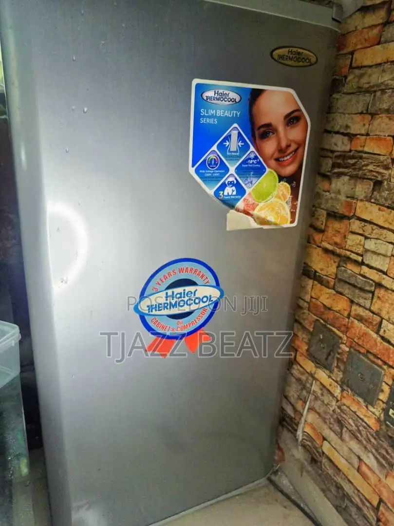 Haier Thermocool Freezer
