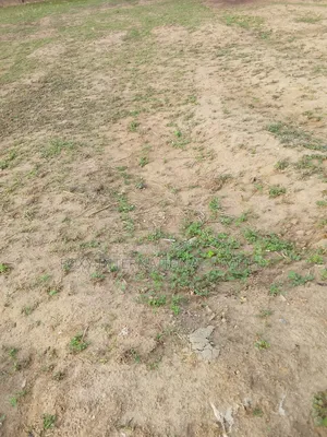 Kaura Commercial Land For Sale