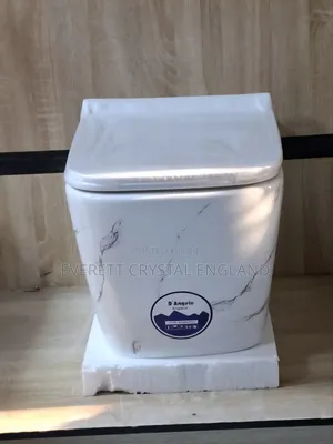 Marble Design Conceal Wc