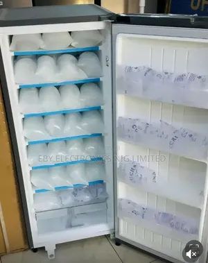 Lg Upright Freezer for Ice Block