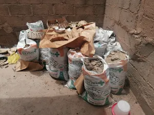 Poultry Manure/Dung
