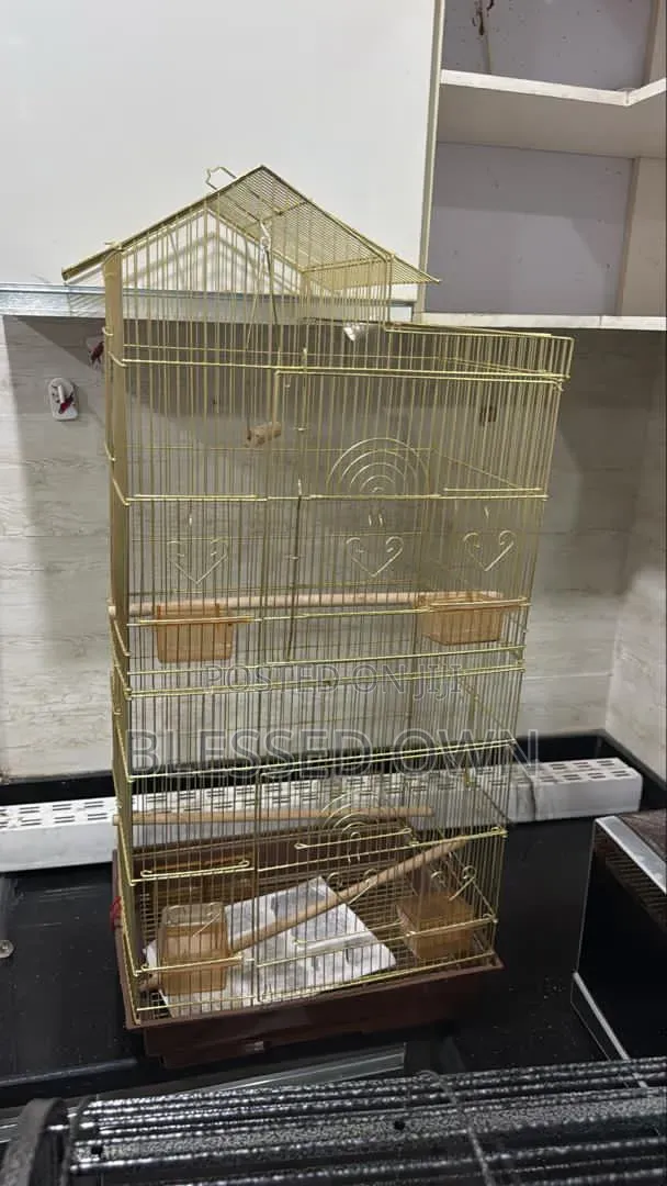 Golden Parrots Bird Cage