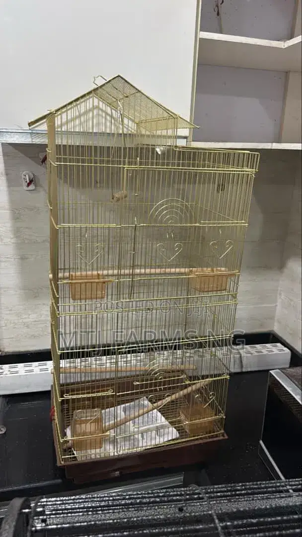 Golden Parrots Bird Cage