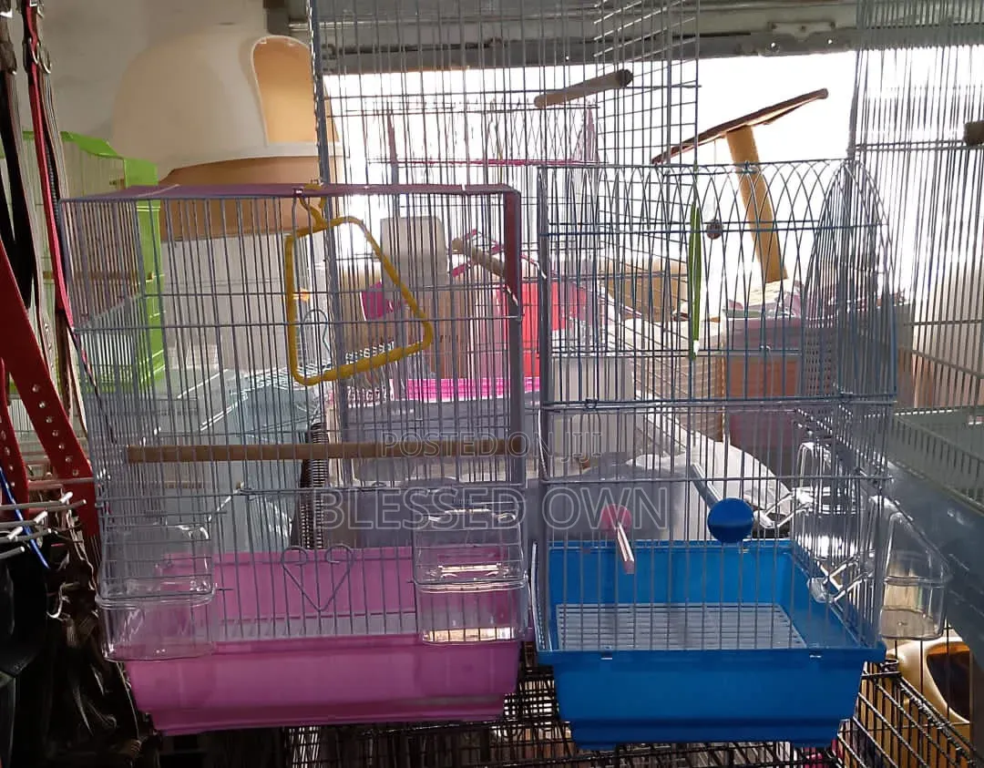 Parrot Birds Cages Are Available