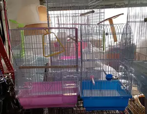 Parrot Birds Cages Are Available