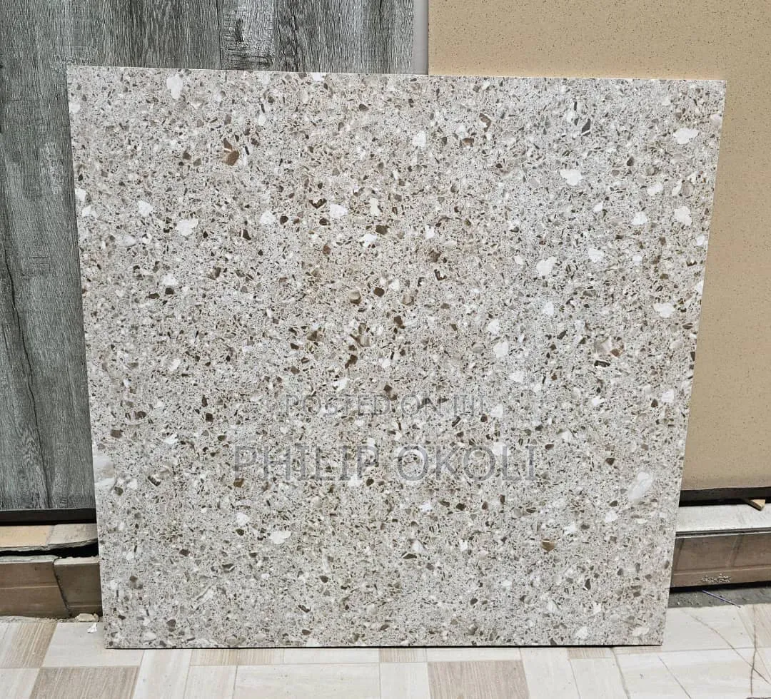 Grey Shade Terrazo 60x60 Rustic Tiles