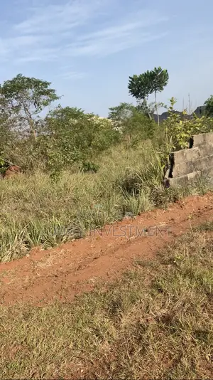 Affordable Plot Of Lands For Sale