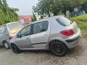 Peugeot 307 2005 Silver