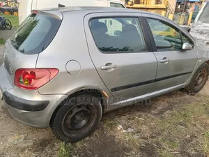 Peugeot 307 2005 Silver