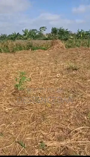Landed Property