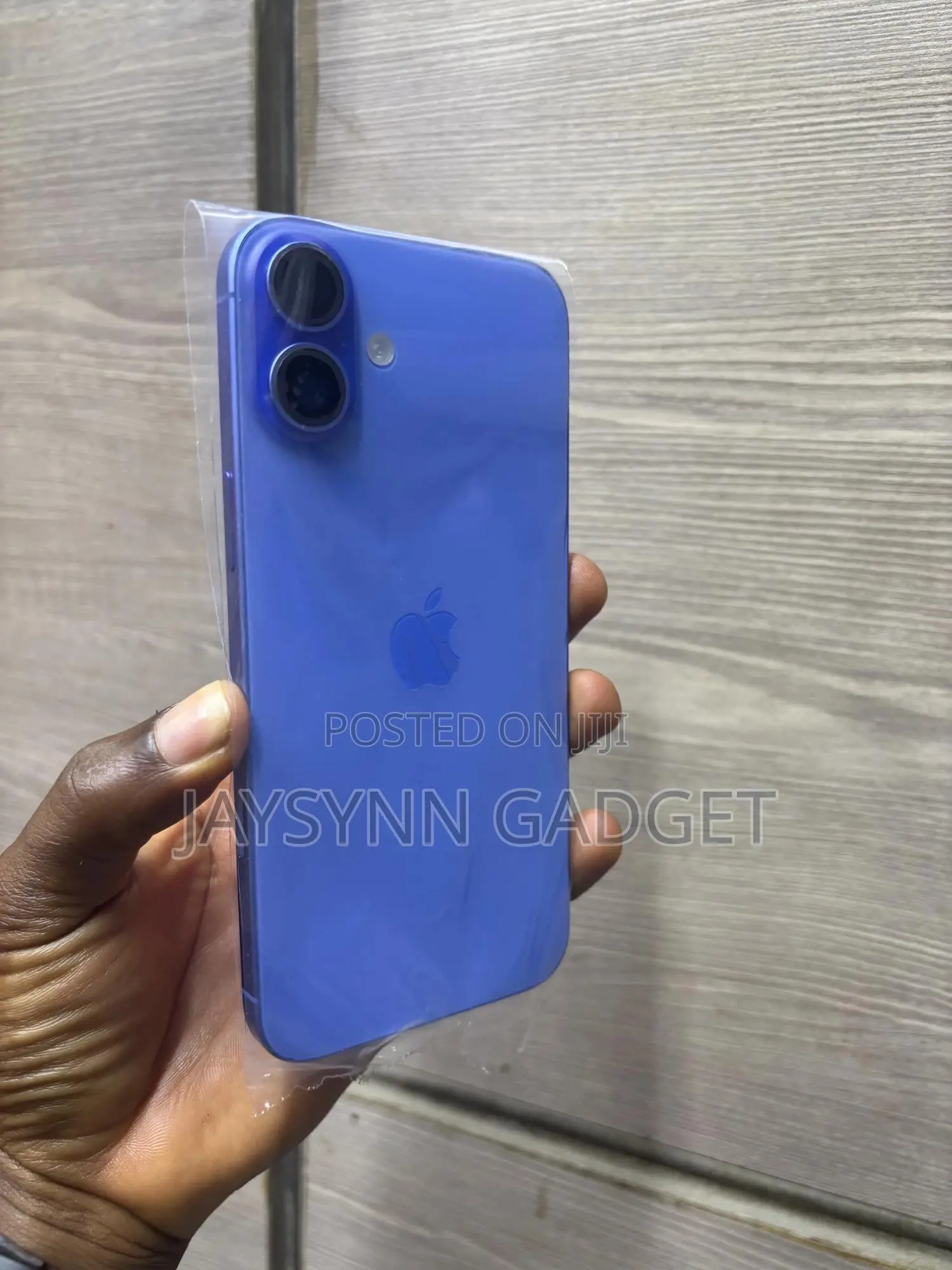 Apple iPhone 16 Plus 256 GB Blue
