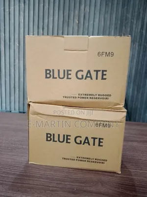 Bluegate 6fm9 Ups Battery.