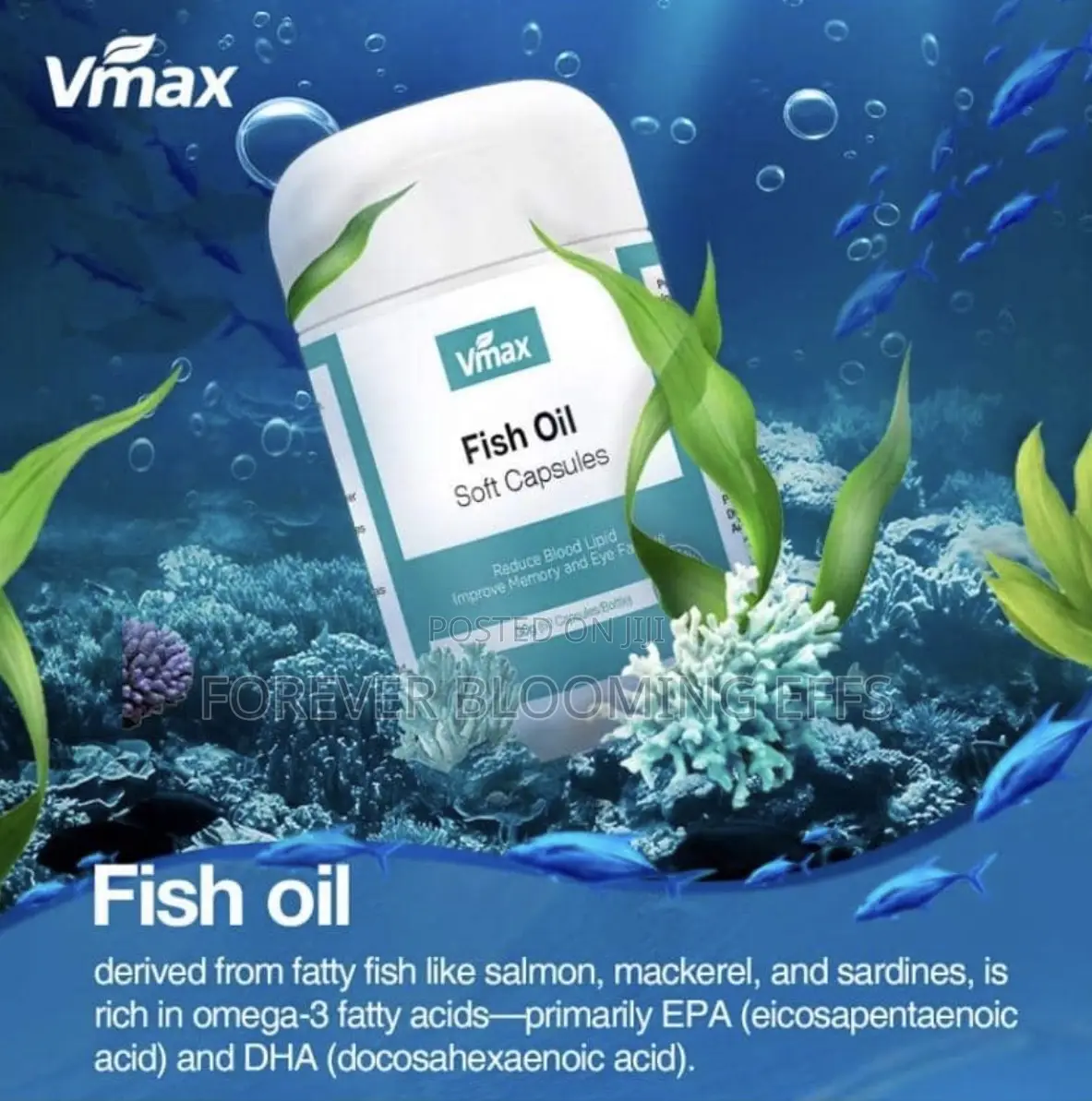 Vmax Fish Oil Capsules