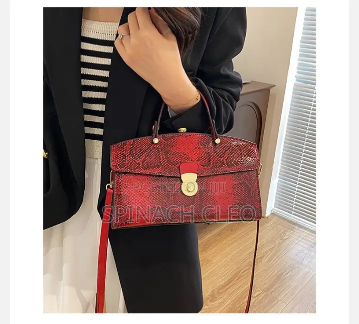 Classy Handbag for Ladies