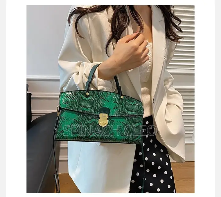 Classy Handbag for Ladies
