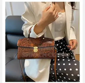 Classy Handbag for Ladies