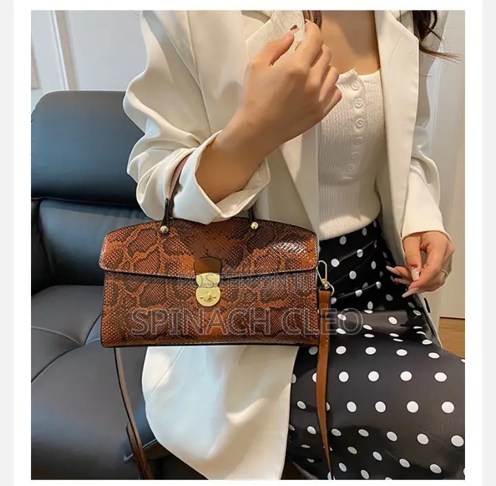 Classy Handbag for Ladies