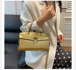 Classy Handbag for Ladies