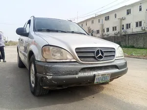 Mercedes-Benz M Class ML 320 2003 Silver