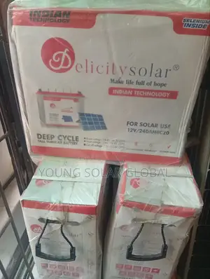 Delicity Battery Tubular