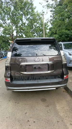 Lexus GX 460 Luxury 2019 Brown