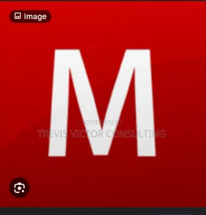 Manager.Io Enterprise Accounting (Annual Subscription)