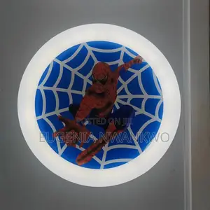 Ceiling Fittings