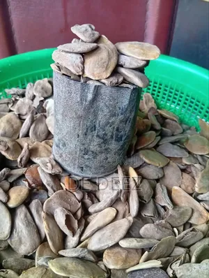 Miracle Seeds, Abere in Yoruba Language.