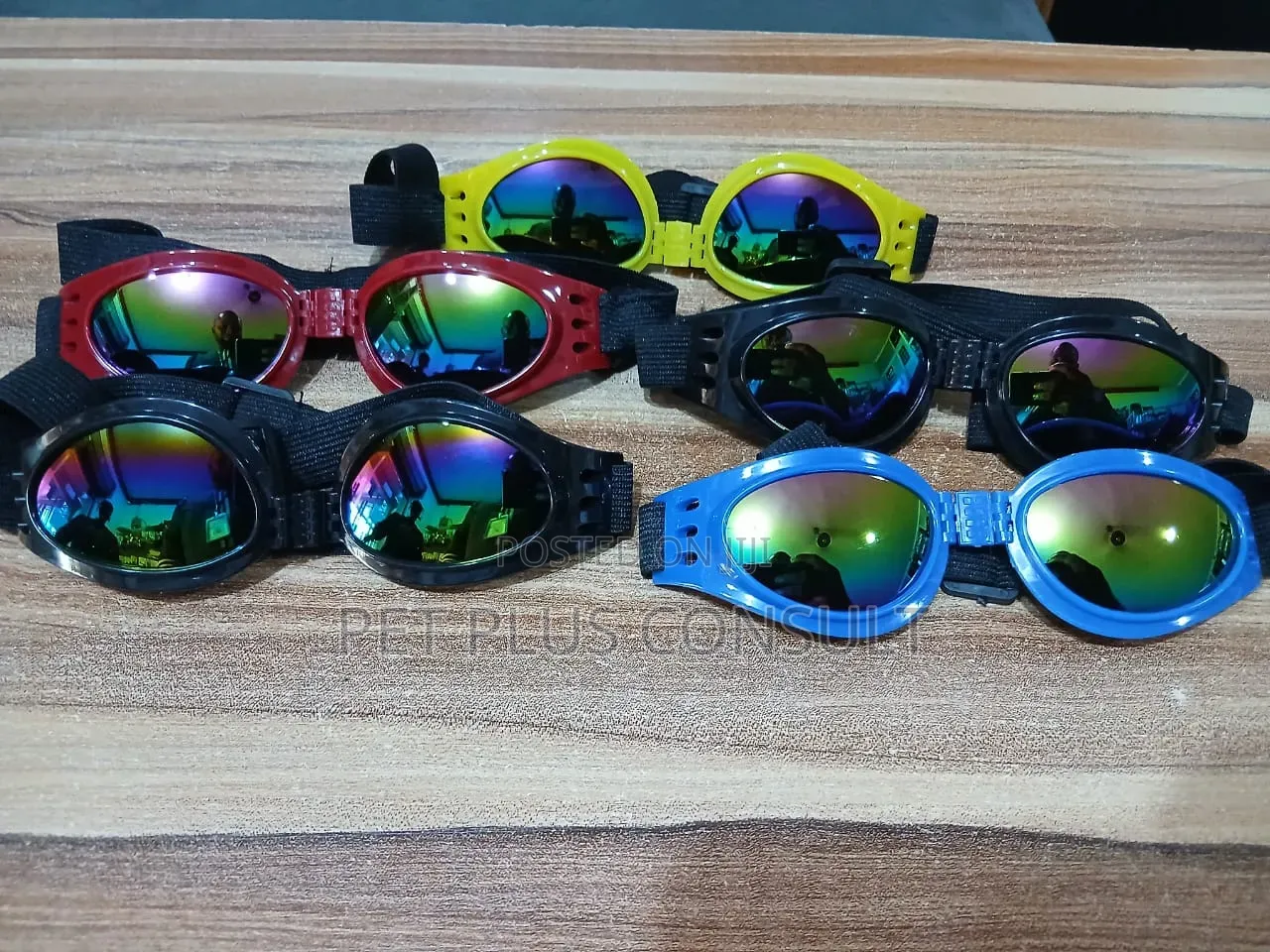 Dog Sun Glasses