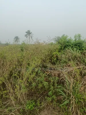 Agbara Land for Sale With Verifiable Lagos State C of O