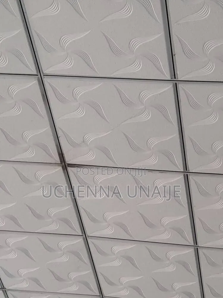 Uchenna Suspended Ceiling